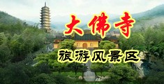 8x8x黄色网页在线看中国浙江-新昌大佛寺旅游风景区